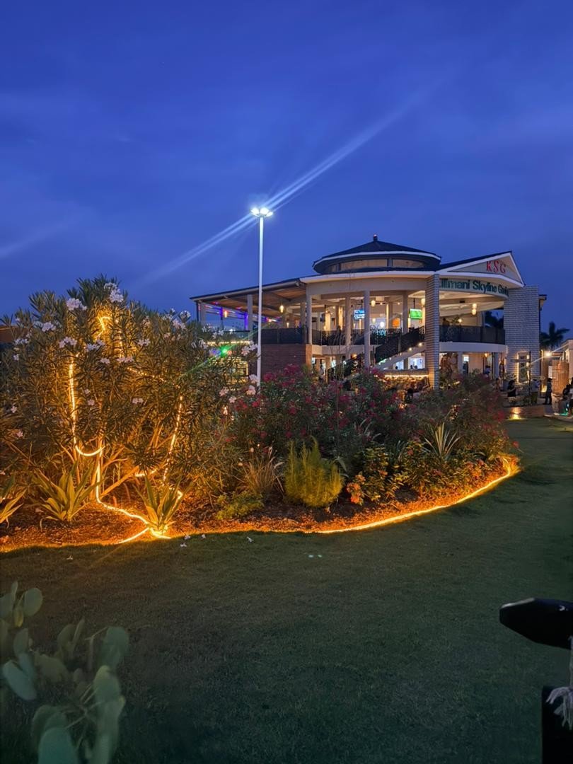 Garden lit with string lights at night